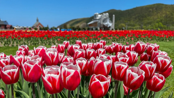 照片來源：小紅書@北海道鹤雅温泉酒店集团