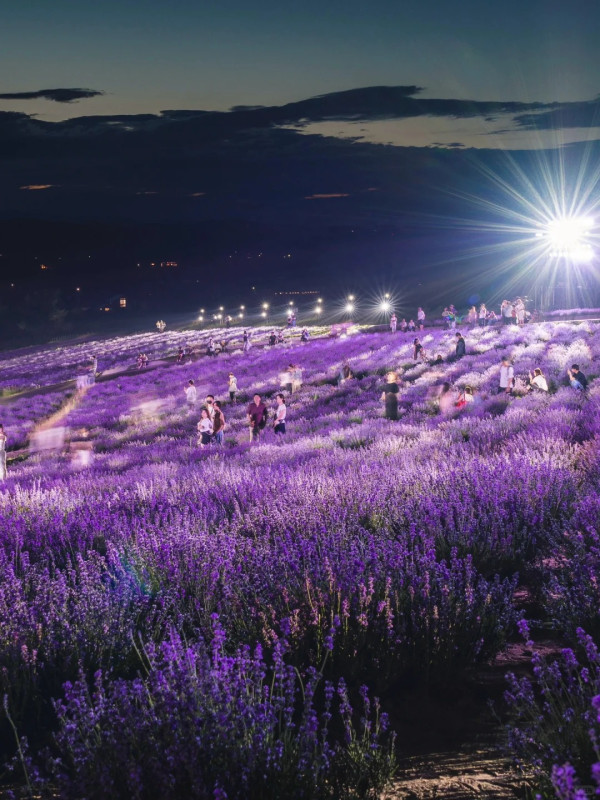 照片來源：小紅書@Aleey的日本留学杂记