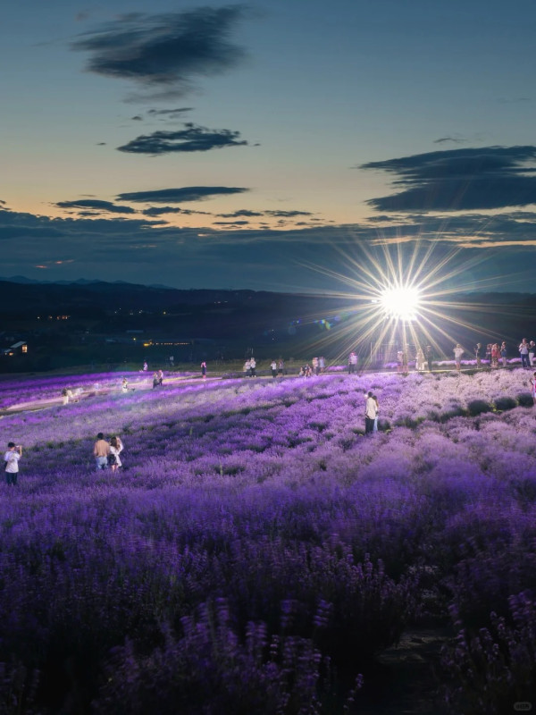 照片來源：小紅書@Aleey的日本留学杂记