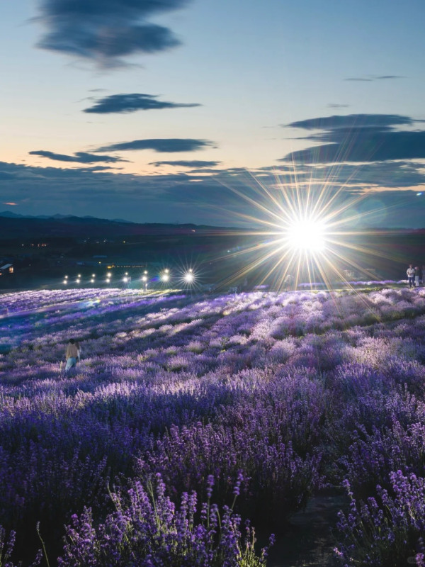 照片來源：小紅書@Aleey的日本留学杂记