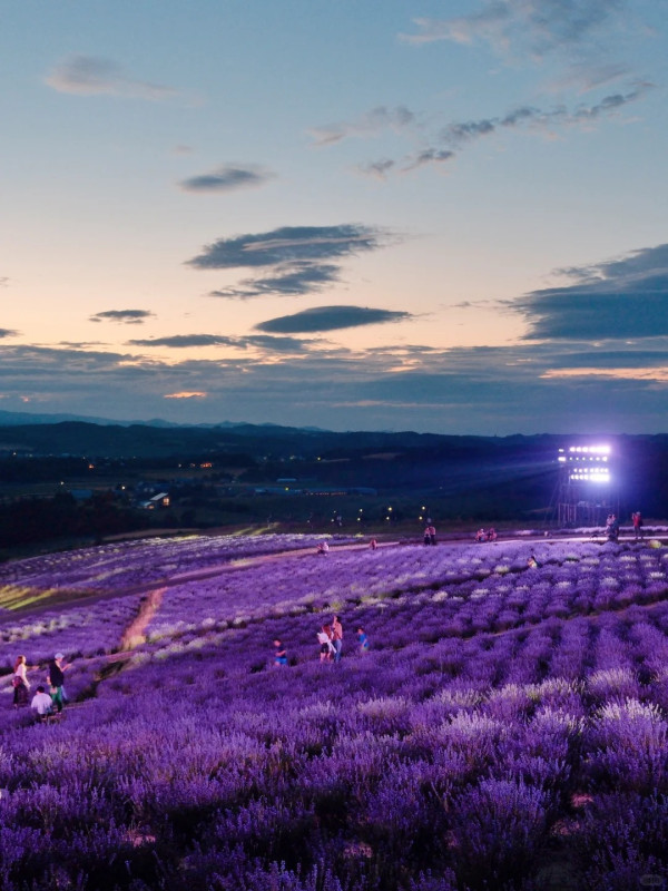 照片來源：小紅書@Aleey的日本留学杂记