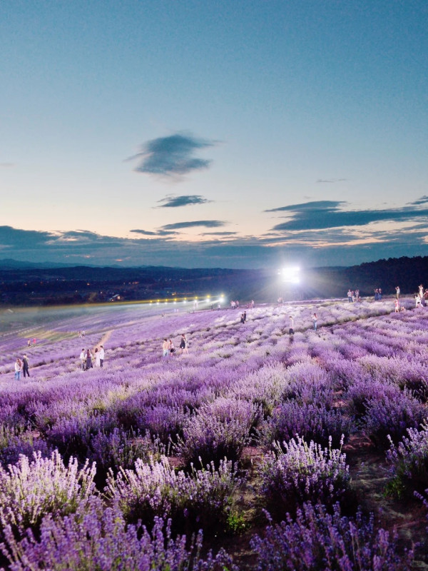 照片來源：小紅書@Aleey的日本留学杂记