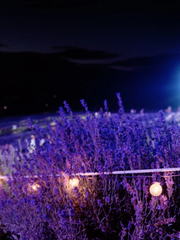 照片來源：小紅書@Aleey的日本留学杂记