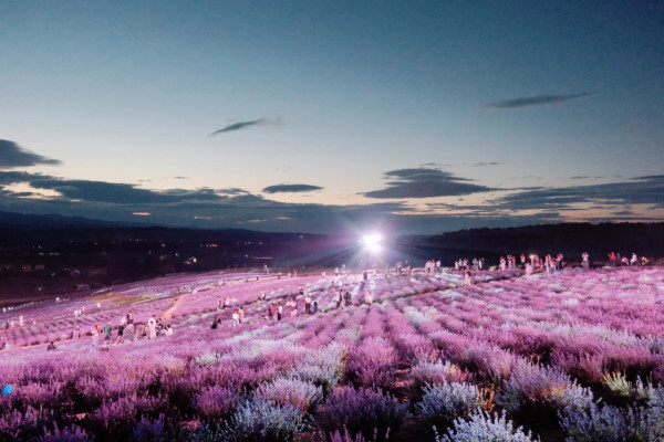 照片來源：小紅書@Aleey的日本留学杂记