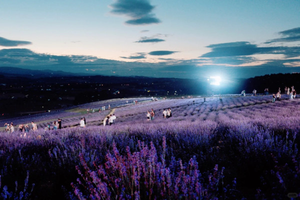 照片來源：小紅書@Aleey的日本留学杂记