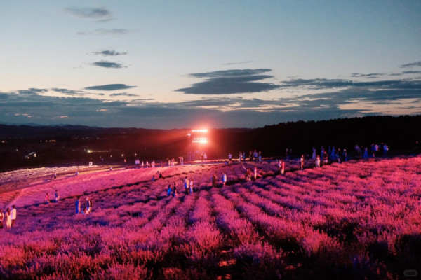 照片來源：小紅書@Aleey的日本留学杂记