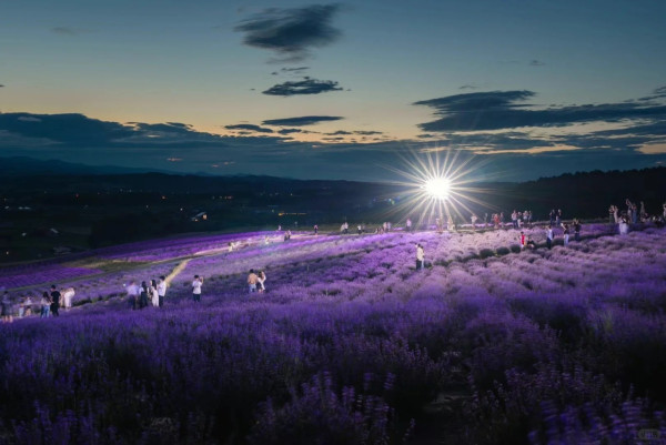 照片來源：小紅書@Aleey的日本留学杂记