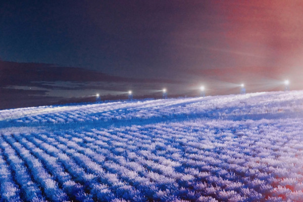 照片來源：小紅書@Aleey的日本留学杂记