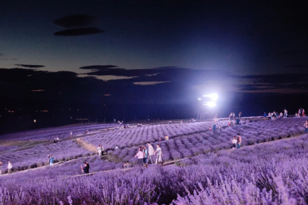 照片來源：小紅書@Aleey的日本留学杂记