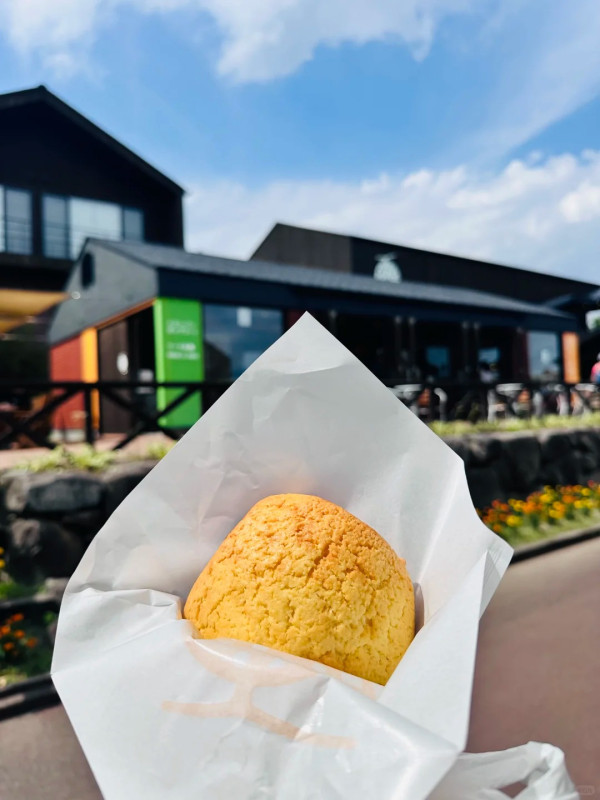 照片來源：小紅書@缺心眼的西瓜君