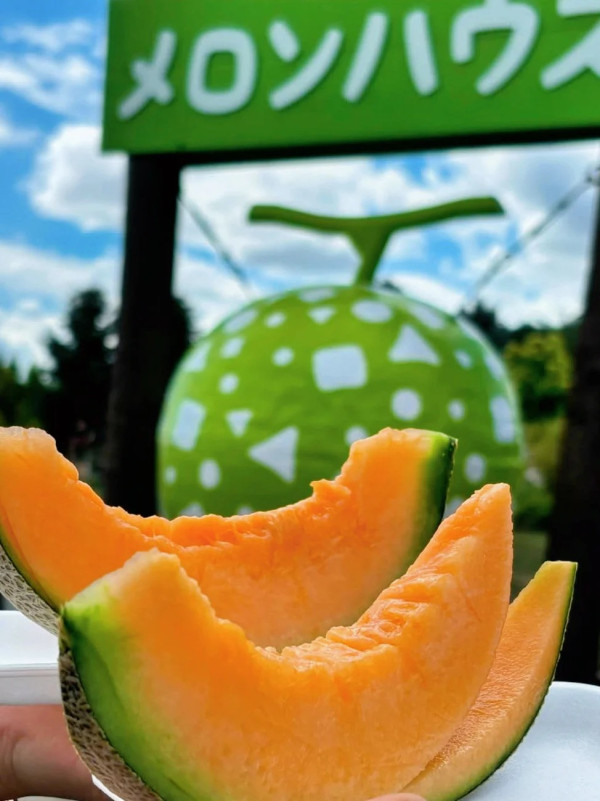 照片來源：小紅書@蒋小肉