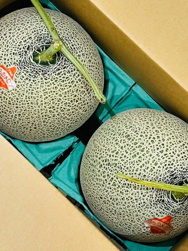 照片來源：小紅書@蒋小肉