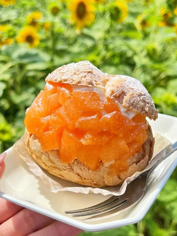 照片來源：小紅書@蒋小肉