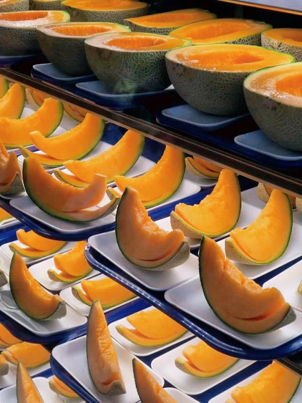 照片來源：小紅書@蒋小肉