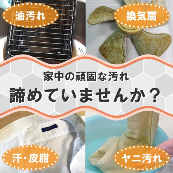 回南天牆身爆怪蟲？潮濕惹9大昆蟲瘋狂產卵 專家警告亂用「1款神物」傷呼吸道