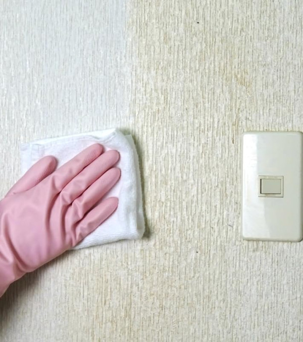 回南天牆身爆怪蟲？潮濕惹9大昆蟲瘋狂產卵 專家警告亂用「1款神物」傷呼吸道