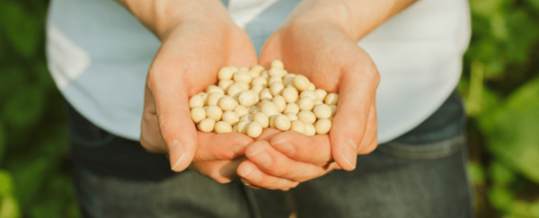 維他奶廠房免費參觀活動！本月截止報名 參觀紙包維他奶生產線+營養探索之旅！附報名方法