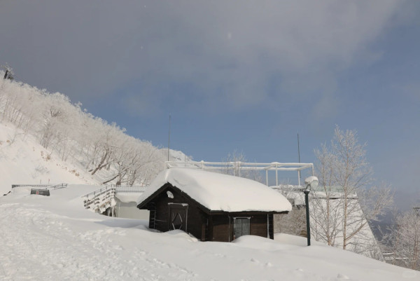 照片來源：小紅書@alzhiwen