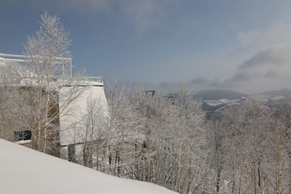 照片來源：小紅書@alzhiwen
