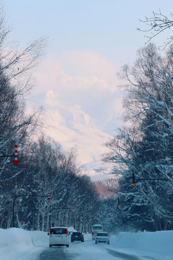 照片來源：小紅書@alzhiwen