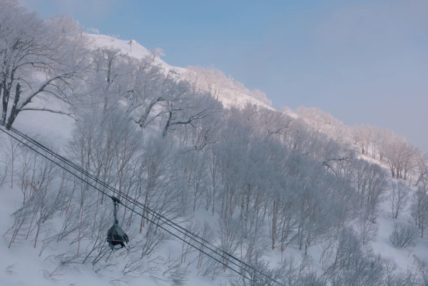 照片來源：小紅書@alzhiwen