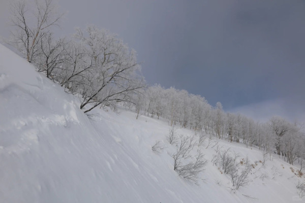 照片來源：小紅書@alzhiwen