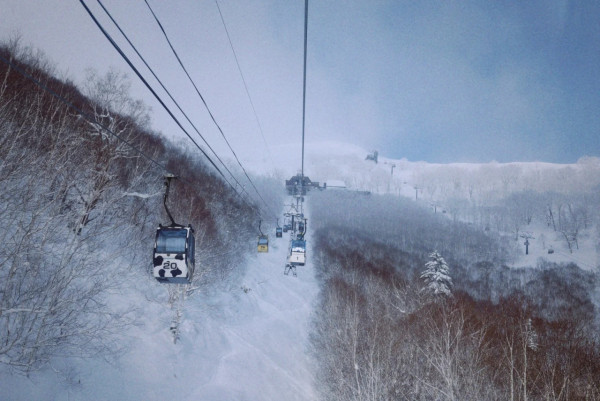 照片來源：小紅書@alzhiwen