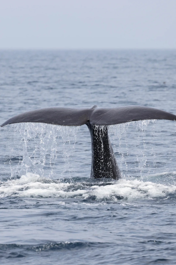 照片來源：小紅書@Lilin