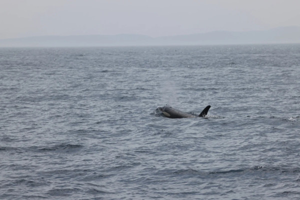 照片來源：小紅書@Lilin