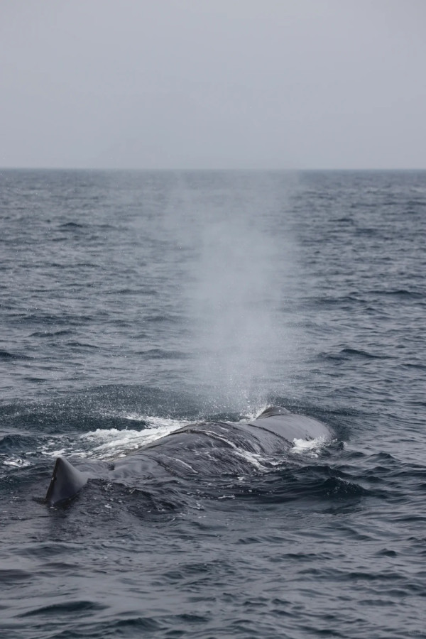 照片來源：小紅書@Lilin