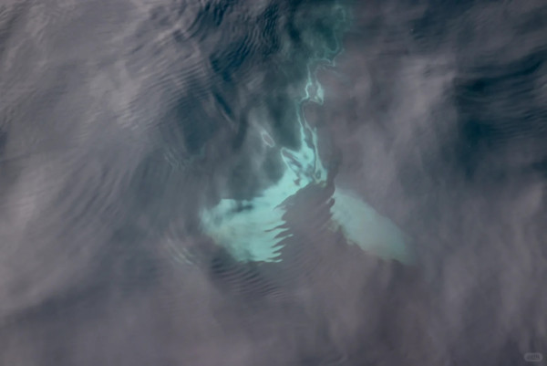 照片來源：小紅書@Lilin