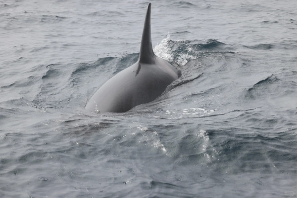 照片來源：小紅書@Lilin