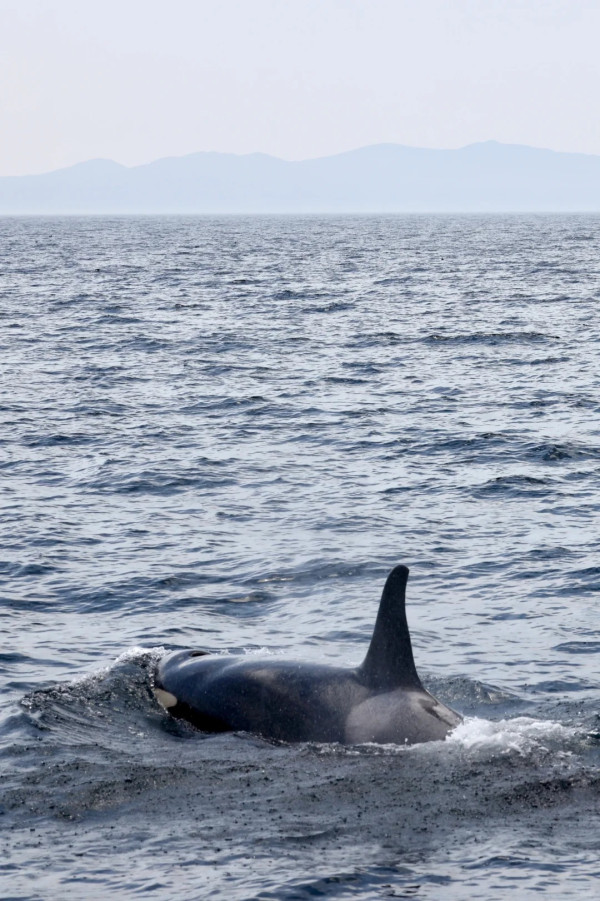 照片來源：小紅書@Lilin