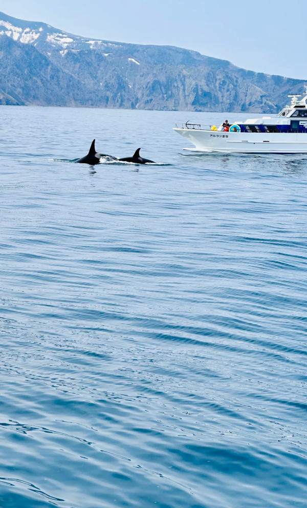 照片來源：小紅書@一口菜小蔡