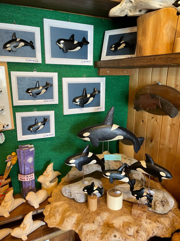 照片來源：小紅書@锚锚在北海道