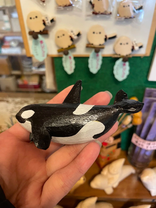 照片來源：小紅書@锚锚在北海道