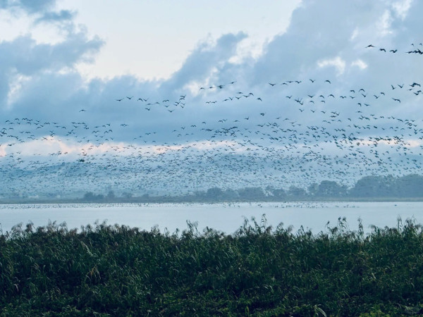 照片來源：小紅書@山风柚子