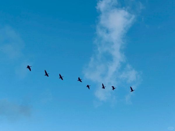 照片來源：小紅書@山风柚子