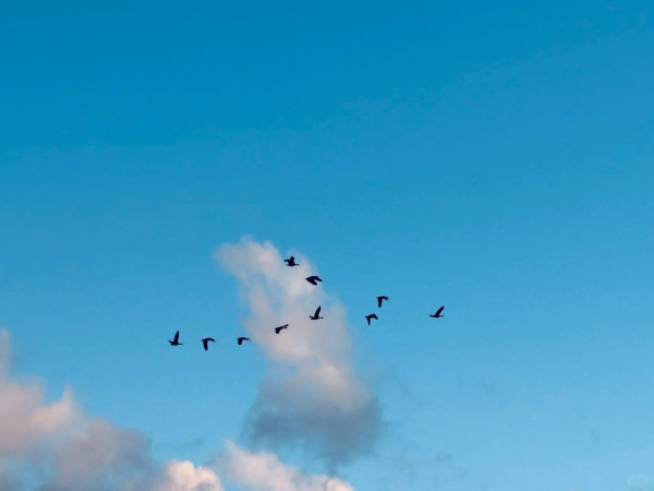 照片來源：小紅書@山风柚子