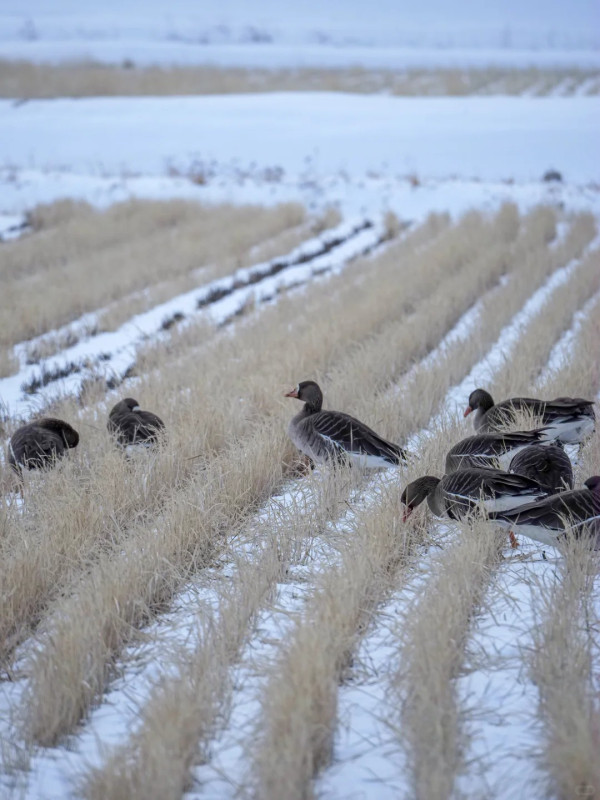照片來源：小紅書@yunaayunn