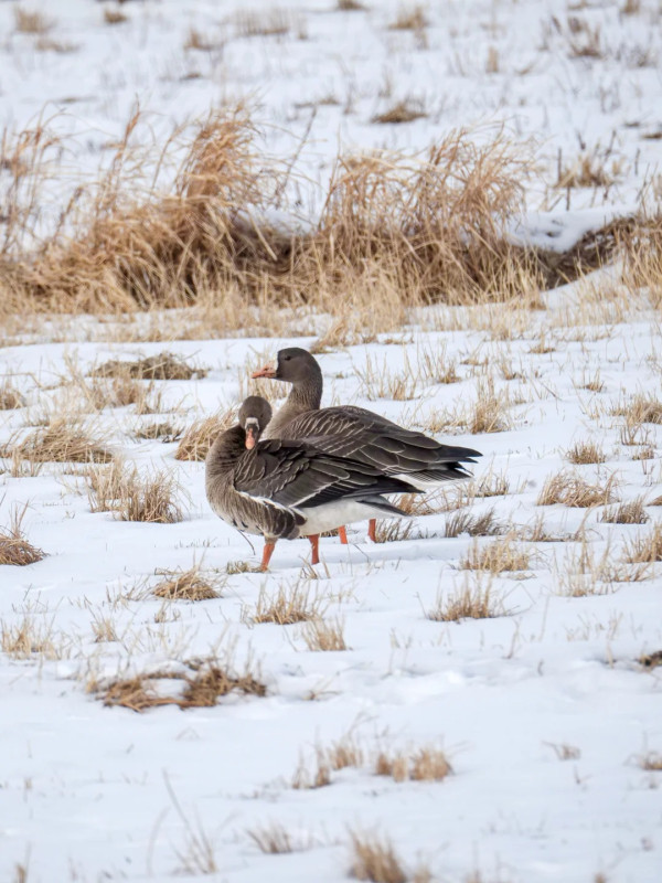 照片來源：小紅書@yunaayunn