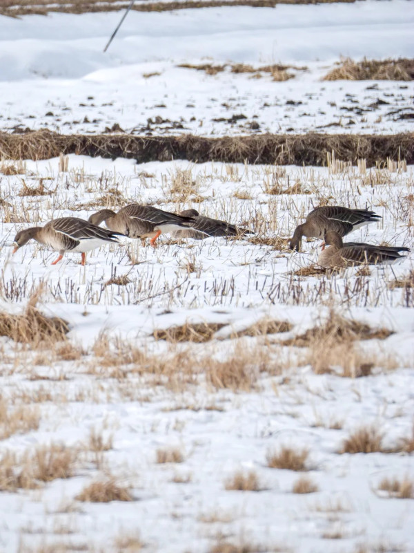 照片來源：小紅書@yunaayunn