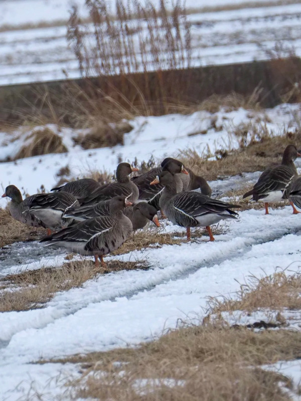 照片來源：小紅書@yunaayunn