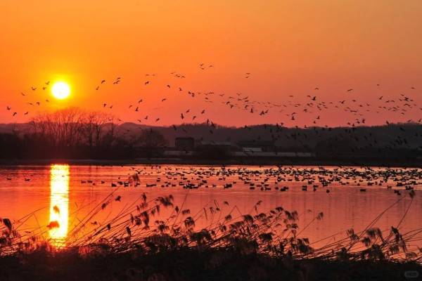 照片來源：小紅書@日本小助手