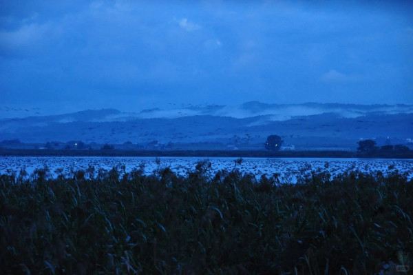 照片來源：小紅書@日本小助手