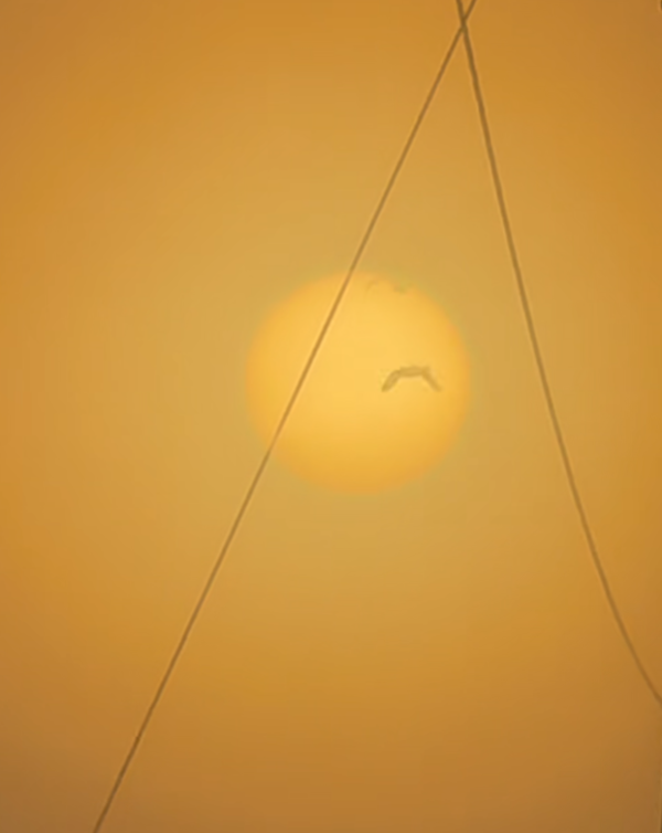 照片來源：小紅書@挑食的luoluo