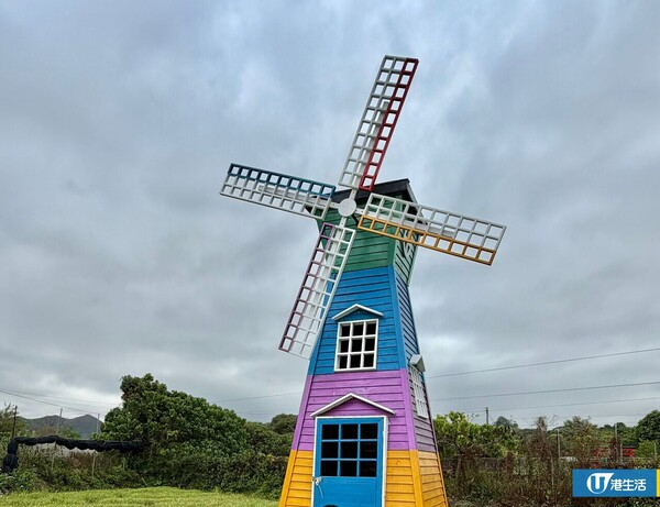 元朗信芯園太陽花現正盛開！入場即送粉紅色香水百合！全新「日系」打卡位登場 附交通方法/入場費