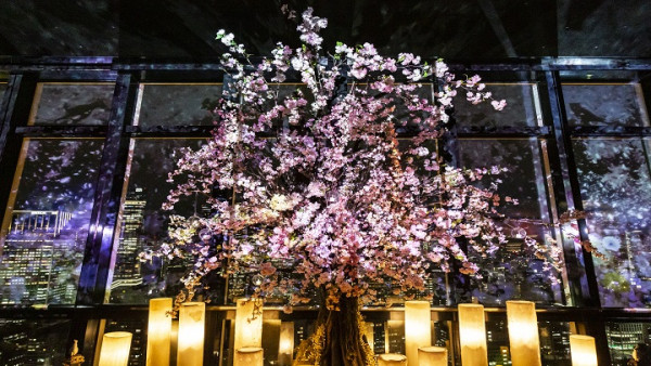 東京鐵塔全新「夜櫻光影秀」登場！沉浸式特效仿如置身夢幻花海  粉色櫻花時段必打卡 