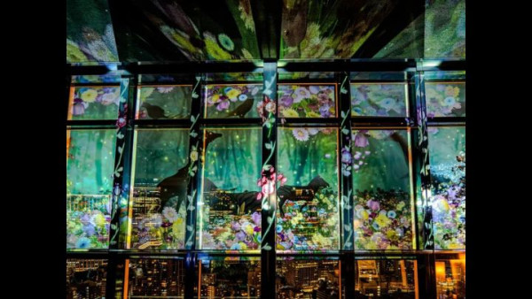 東京鐵塔全新「夜櫻光影秀」登場！沉浸式特效仿如置身夢幻花海  粉色櫻花時段必打卡 