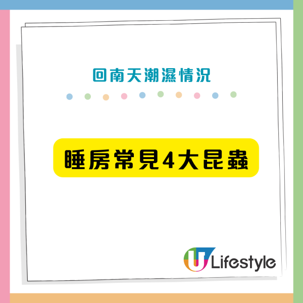 回南天牆身爆怪蟲？潮濕惹9大昆蟲瘋狂產卵 專家警告亂用「1款神物」傷呼吸道